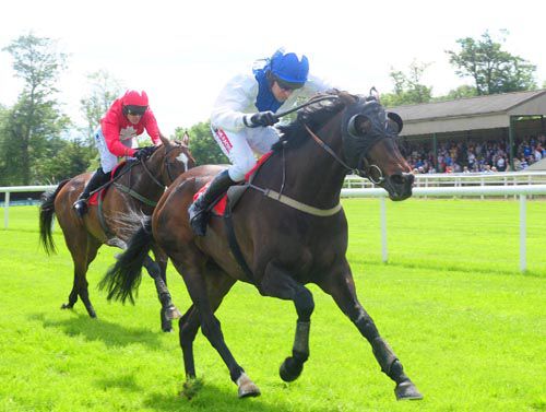 Golanbrook winning over hurdles at Gowran Park last year