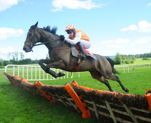 A fine leap by Wooly Tom