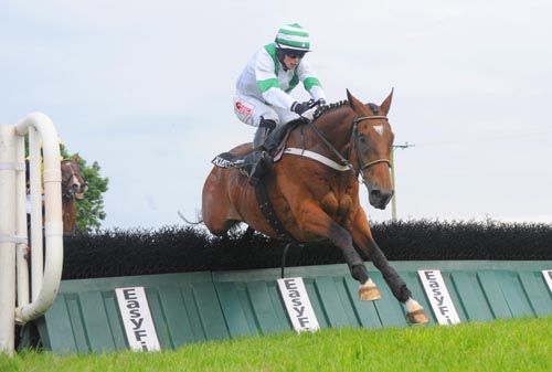 Whispering Hills & Bryan Cooper survive a mistake at the last to win the Novice Hurdle