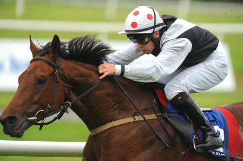 Cognomen and Leigh Roche