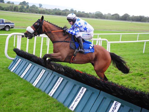 Dunroe Boy and Ian McCarthy clear the last 