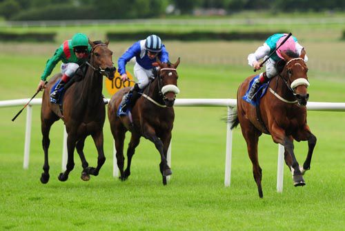 Caponata wasn't for catching by Shebella (green) or Aaraas (blue) at Naas