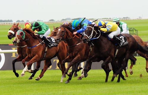 Winning Impact (nearest) gets the better of a tight finish 