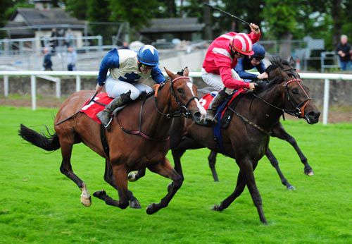 Dream Scape (nearest) holds off Caliente 