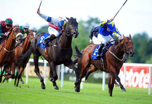 Whips up as Kedleston (blue) just holds Summer Knight (nearside)