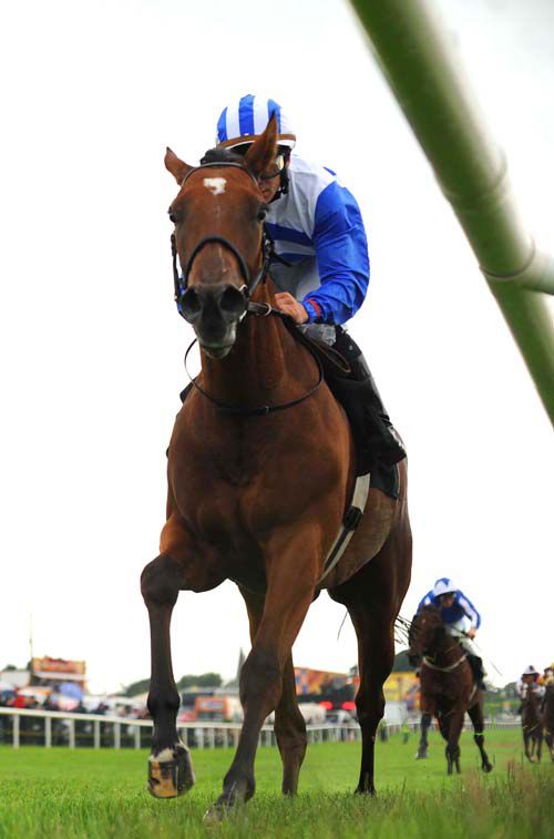 Scream Blue Murder looks at the camera as she approaches the line under Wayne Lordan
