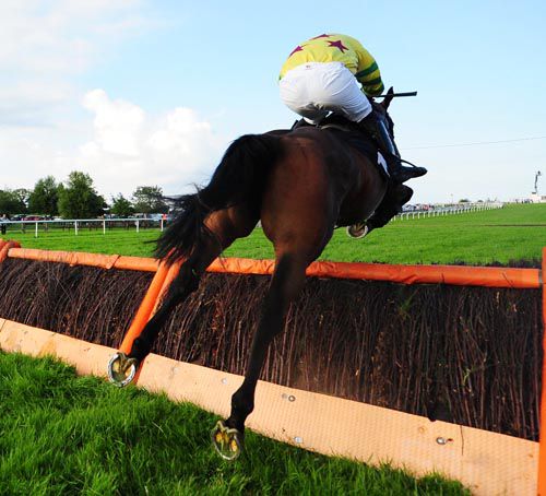 Brian Who jumps the last with a clear lead under Robert Jones