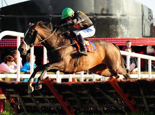 Our Nana Rose jumps the last under Andrew Thornton