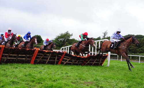 Dunroe Boy under Ian McCarthy leads Raheenwood over the last