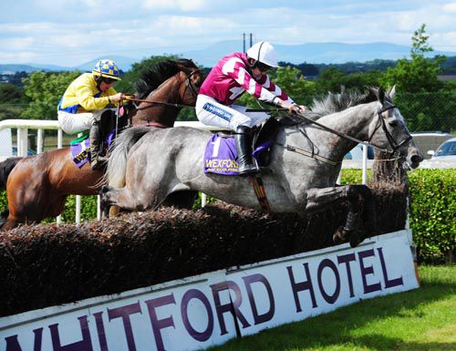 Grey horse Raptor winning at Wexford under Ruby Walsh