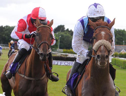 Falcarragh, right, prevails from Wrong Way Corrigan at Wexford