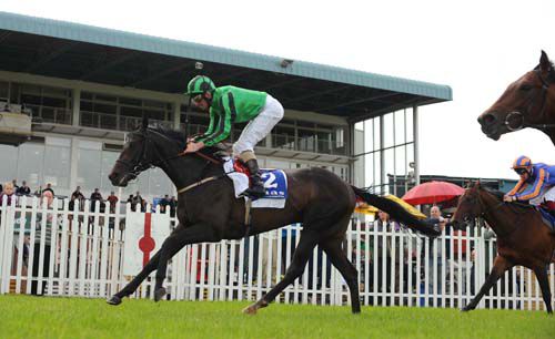 Grafelli sheds his maiden tag at Naas 