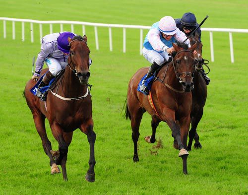 Marvada, centre, shows her will to win at Naas