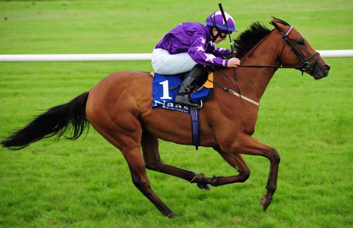 Custom Cut wins comprehensively at Naas