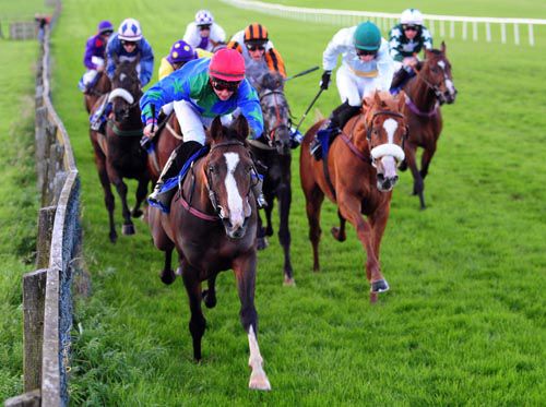 Jeremy's Girl boxes on from the front at Naas