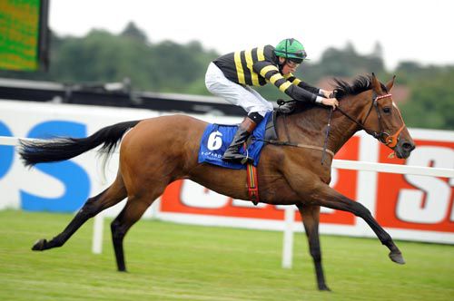 Happy Anniversary is pushed out to the line by Ross Coakley