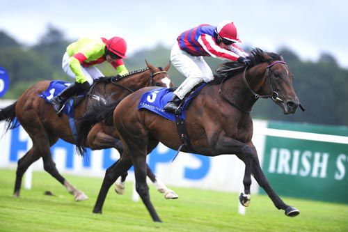 King Of Dudes accelerates close home under Ben Curtis