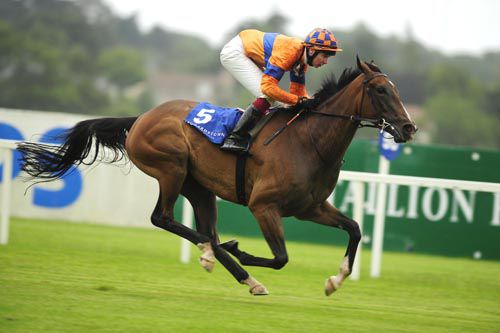 Beach Of Falesa cruises to victory under Joseph O'Brien