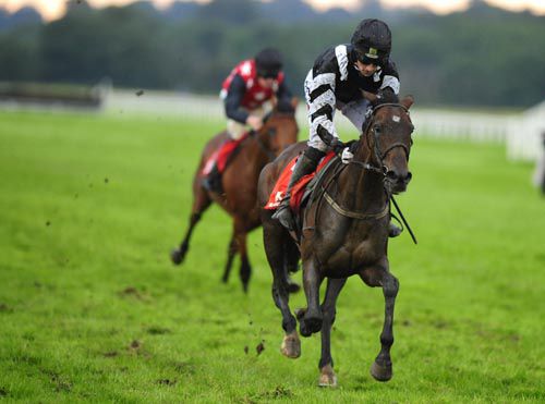 Tasitiocht hacks up in the finale at Cork