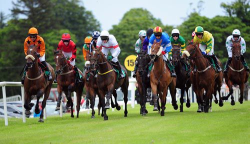 Liberty's Gift (far left) made all to take the opener at Sligo under Mick Darcy