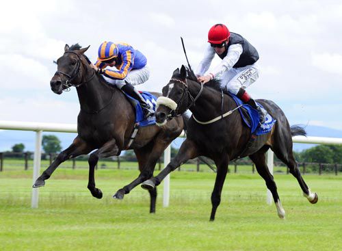 Encrypted Message (noseband) comes to catch Unanimous close home