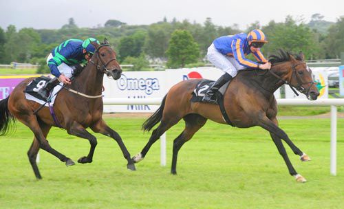 Wonderful beats Mona Brown at Killarney in the opener