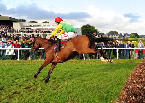 Go All The Way on his way to victory