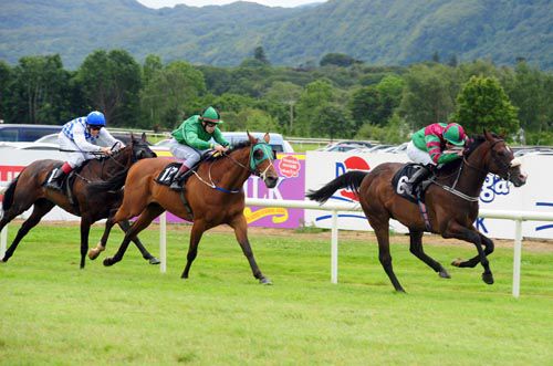 Big Bad Billy Bob is driven out by Ronan Whelan from Fit The Cove in second & Lady Lyrath in third