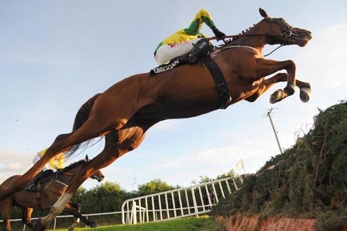 Chase The Favourite lets fly at the last from Loughnagall