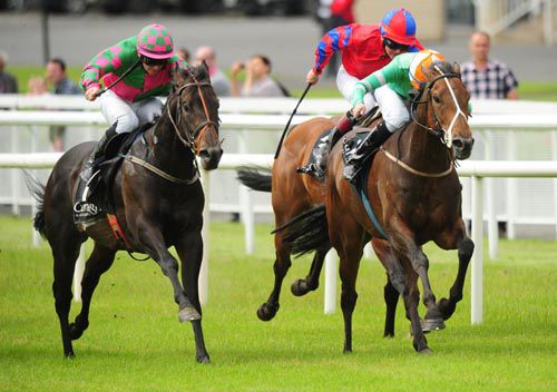 Stones Peak (right) defeats Battleroftheboyne (left)
