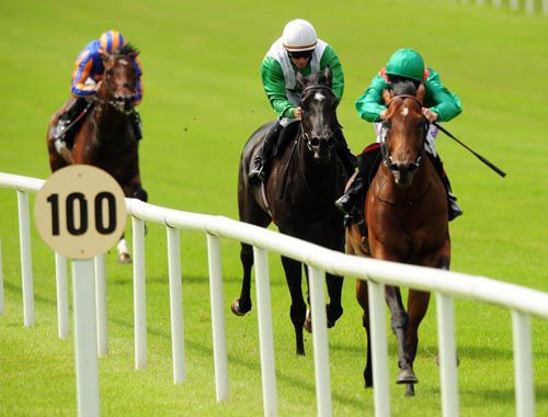 Takar wins the Group 3 Minstrel Stakes