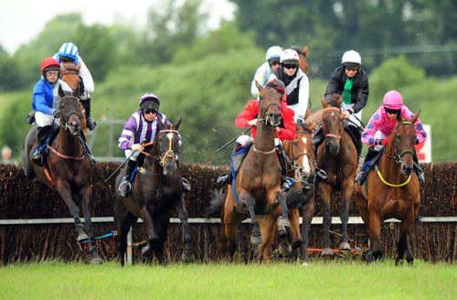 Raise The Goblet (far left) jumping a fence in the early stages