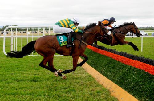 Rebel Fitz leads Captain Cee Bee over the last in the Grimes Hurdle