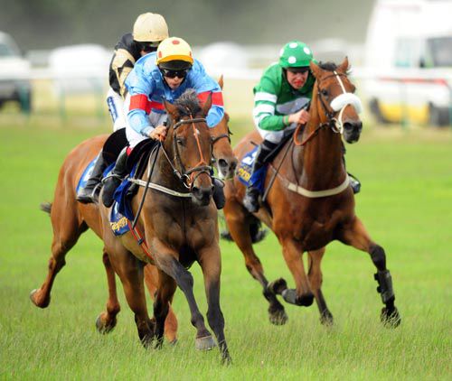 Aughnacurraveel on his way to victory from Back In Focus (partially hidden) & Coole Avenue