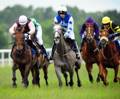 Patrick Mullins is motionless aboard the grey Pique Sous as his rivals are hard at work