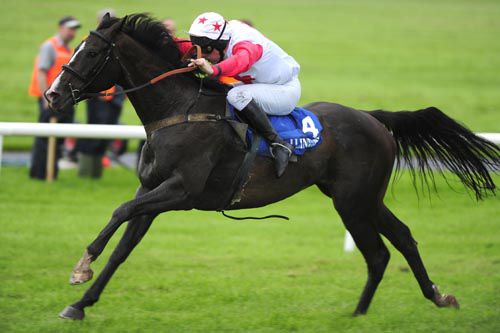 Bill The Yank and Barry Cash were much too good for their Ballinrobe opponents