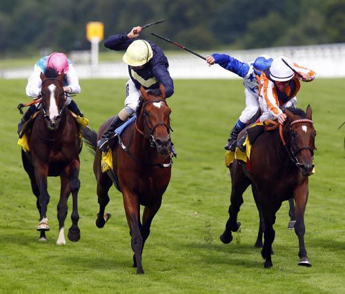 Reliable Man, in blue and white on right,  Stakes behind Danedream 
