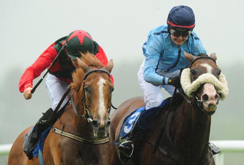 Peinora, left, gets up to foil Jigalo at Tipperary