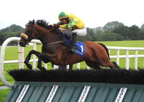 Face Value and David Splaine clear the last at Ballinrobe
