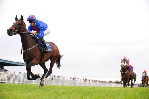 Vale Of Clare comprehensively defeats stablemate Regal Power at Naas