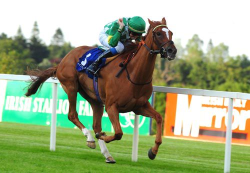 Waltzing Cat approaches the line with a clear lead under Marc Monaghan
