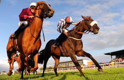 Jimtown (noseband) only just got the better of Circumstances at Down Royal