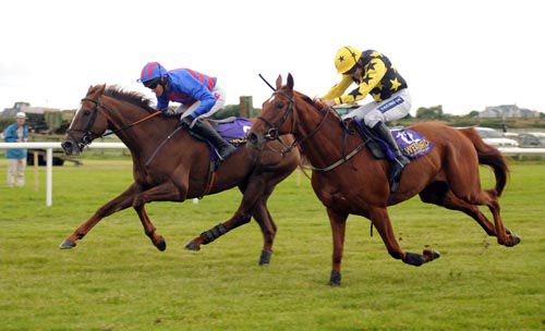 Clicksnmortar holds Bundle Of Fun