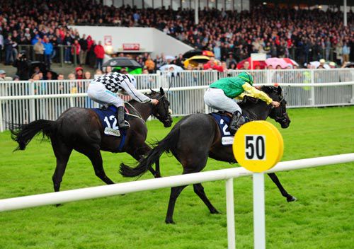 Golden Shoe has Crystal Morning's (nearside) measure at Galway