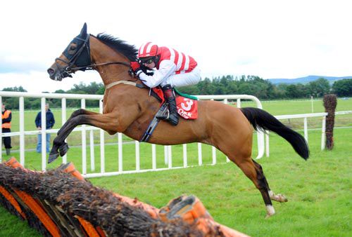 The first time blinkered Akinspirit flies over the last under Mikey Butler