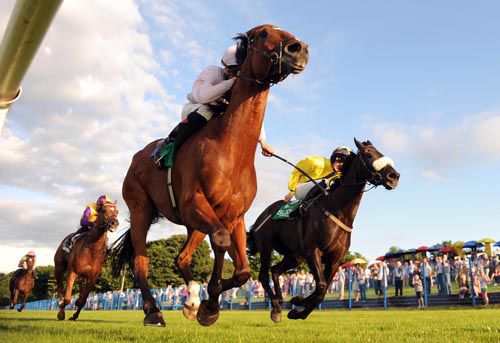 Double Double is driven out by Emmet McNamara to hold off Black Benny on the outside