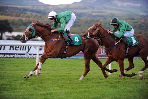 Cheval Rouge leads home Irish Reel in the last at Sligo