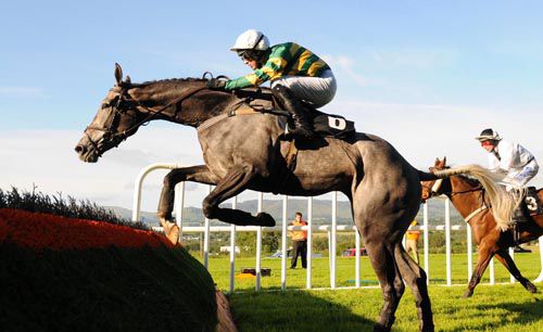 Urhavinalaugh jumping a hurdle during the race