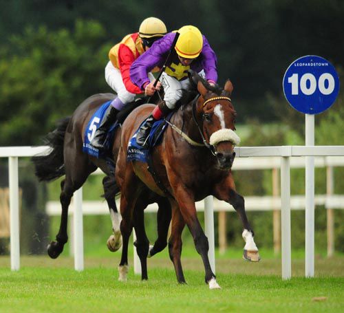 Galileo's Choice on his way to victory under Pat Smullen