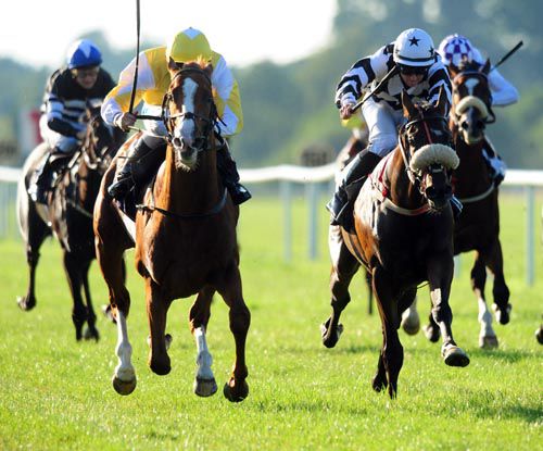 First Cornerstone, yellow, takes home the spoils at Tipperary